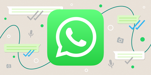 How to use and set the WhatsApp business app with your business?
